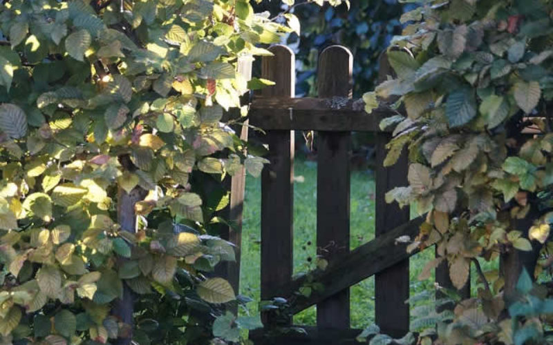 How to Turn Your Yard into an Awe-Inspiring Paradise