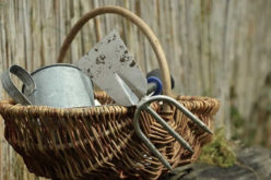 Different Types of Common Gardening Tools for DIY Projects
