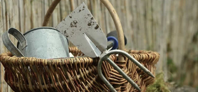 Different Types of Common Gardening Tools for DIY Projects