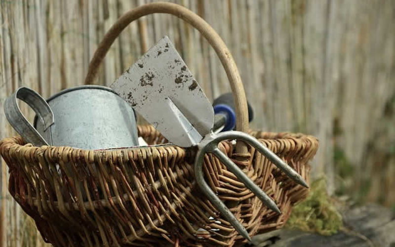 Different Types of Common Gardening Tools for DIY Projects
