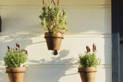 Top Signs You Need New Siding: A Look at Fiber Cement Siding