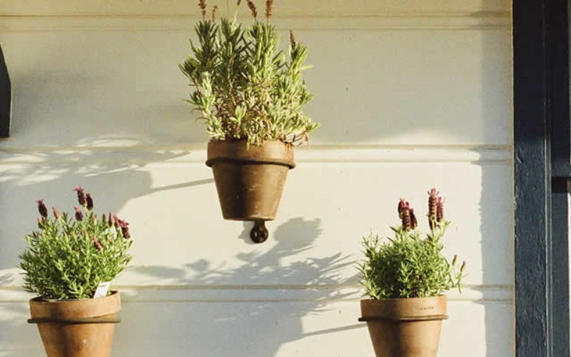 Top Signs You Need New Siding: A Look at Fiber Cement Siding