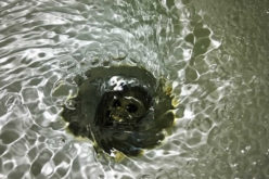 <span>Quick Checklist:</span> How Do You Keep Your Drains Clear 24/7?