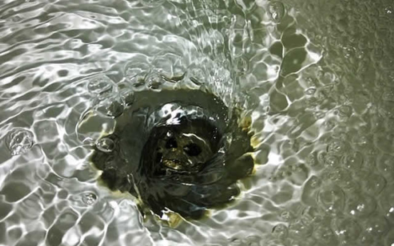<span>Quick Checklist:</span> How Do You Keep Your Drains Clear 24/7?