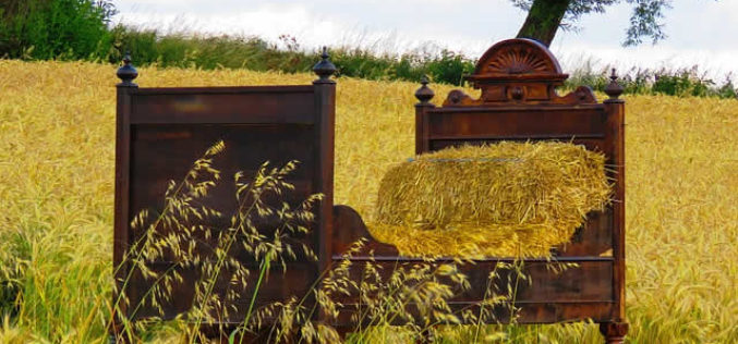 <span>Weekly Tip for Aug 28:</span> 4 Simple Tips to Revamp Your Bed