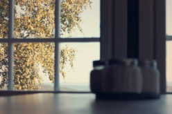 <span>Weekly Tip for Aug 07:</span> Avoiding the Summer Glare and Heat