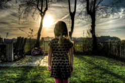 <span>Quick Checklist:</span> How Do You Create the Perfect Backyard for Your Home?