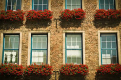Take Environmentally-Friendly to the Next Level with Low-E Windows