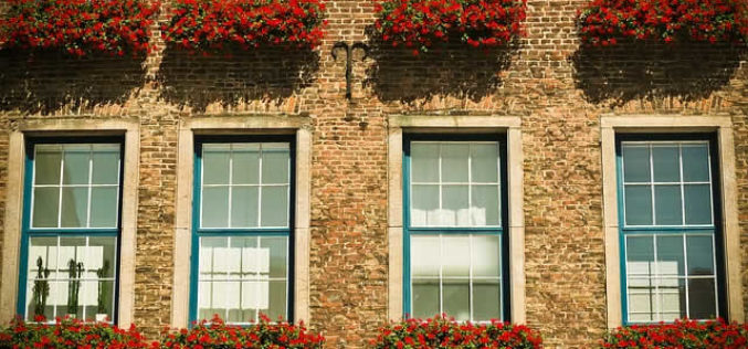 Take Environmentally-Friendly to the Next Level with Low-E Windows