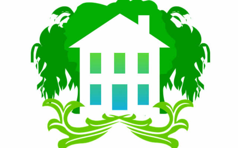 Green on the Inside: Tips to Get a More Efficient House