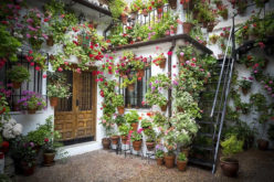5 Backyard Patio Design Ideas