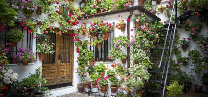 5 Backyard Patio Design Ideas