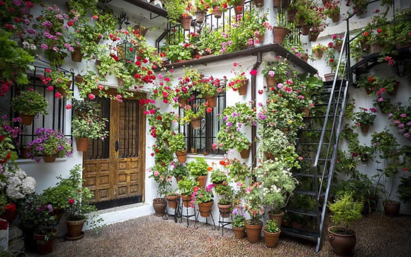 5 Backyard Patio Design Ideas