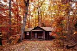<span>Weekly Tip for Oct 30:</span> Cabin in Paradise: Maintenance Tips for Log Home Owners