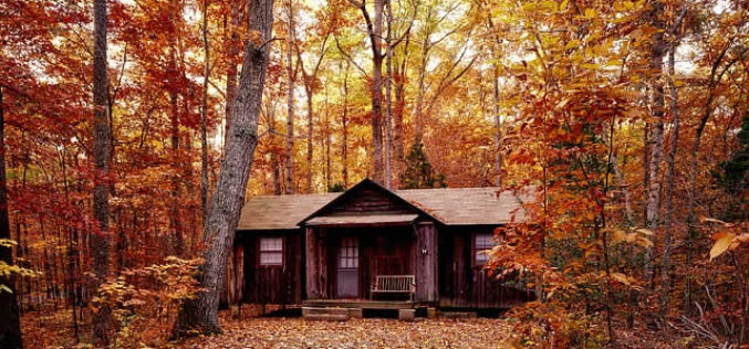 <span>Weekly Tip for Oct 30:</span> Cabin in Paradise: Maintenance Tips for Log Home Owners