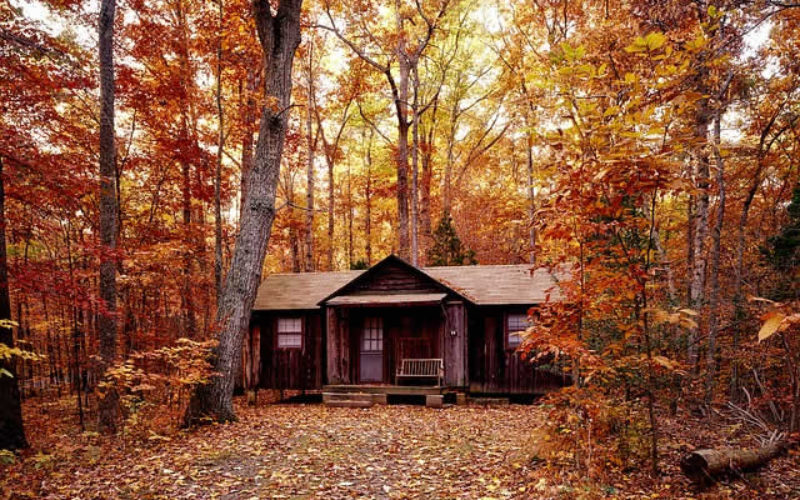 <span>Weekly Tip for Oct 30:</span> Cabin in Paradise: Maintenance Tips for Log Home Owners