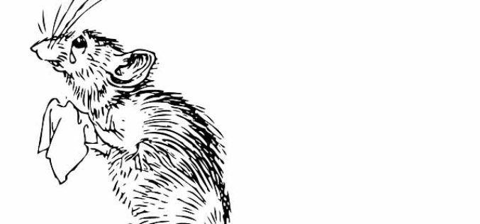 The Complete Guide to Keeping Your Home Rodent Free