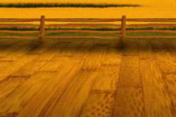 <span>Weekly Tip for Dec 04:</span> Not Just for Dads: Why You Should Build a Deck