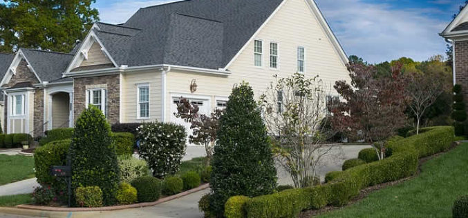 How To Create An Eco-Friendly Front Yard