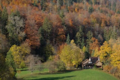 Autumn Weather: How to Maintain Your Home this Fall