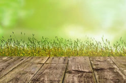 4 Benefits of Adding Improved Curb Appeal to your Home Improvements