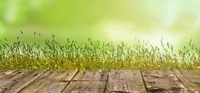 4 Benefits of Adding Improved Curb Appeal to your Home Improvements