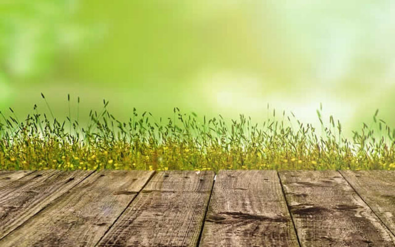 4 Benefits of Adding Improved Curb Appeal to your Home Improvements