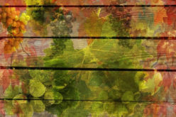 Why You Should Update Your Kitchen Appliances Before Thanksgiving