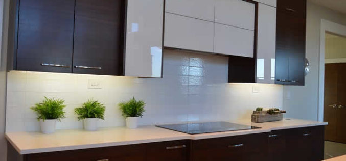 Which Cabinet Type is Best for Your Kitchen?