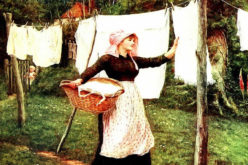<span>Weekly Tip for Dec 25:</span> What! A New Washer for Christmas?