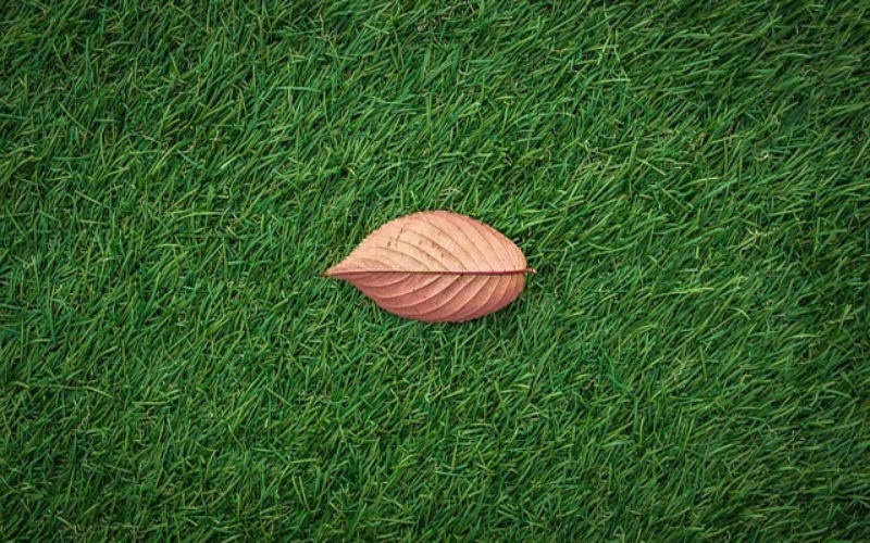 Everything You Need to Know Before Installing Artificial Turf to Your Garden