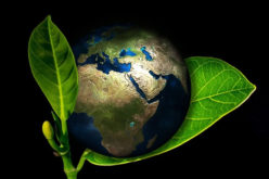Is Your House Green Enough? A Guide to Creating an Eco-Friendly Living Space