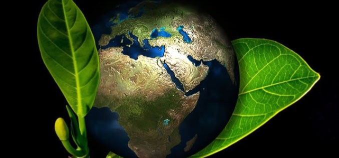 Is Your House Green Enough? A Guide to Creating an Eco-Friendly Living Space