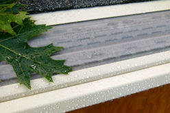 <span>Sunday Morning Tip for Jan 22:</span> Gutter Cleaning
