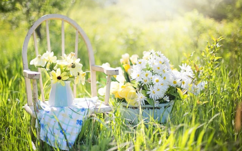 Tips To Choose Best Garden Supplies