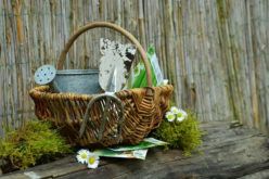 <span>Sunday Morning Tip for Feb 19:</span> Get Ready for Spring Cleanup