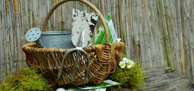 <span>Sunday Morning Tip for Feb 19:</span> Get Ready for Spring Cleanup