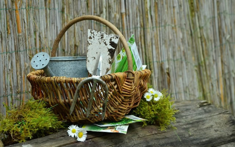 <span>Sunday Morning Tip for Feb 19:</span> Get Ready for Spring Cleanup