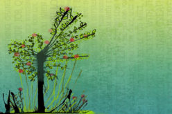 DIY Green Home? 4 Home Energy Efficiency Optimizations You Should Leave to the Pros