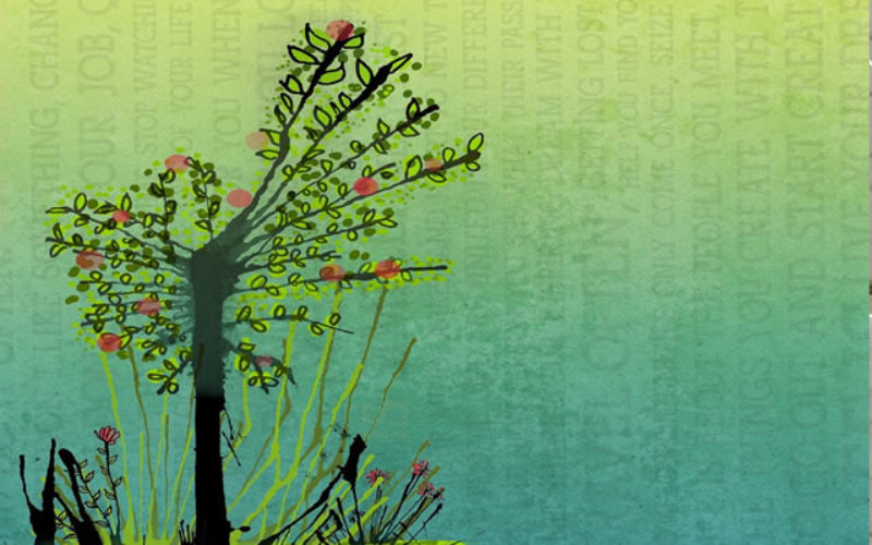 DIY Green Home? 4 Home Energy Efficiency Optimizations You Should Leave to the Pros