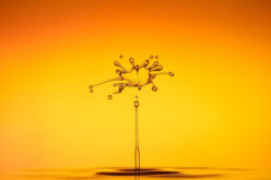 Water Conservation Begins in the Home: 5 Tips