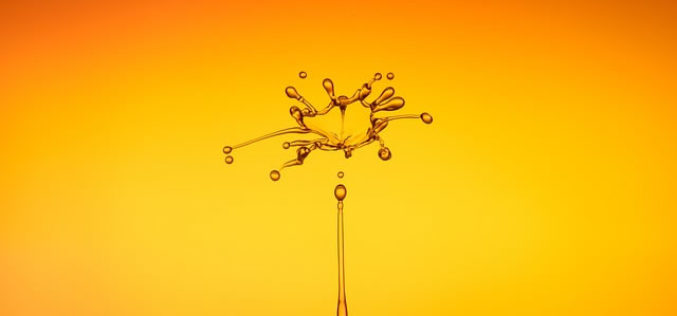 Water Conservation Begins in the Home: 5 Tips