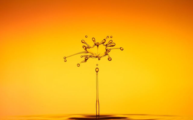 Water Conservation Begins in the Home: 5 Tips
