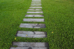 4 Design Ideas to Make Your Backyard More Fun and Inviting