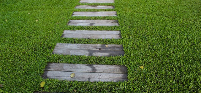 4 Design Ideas to Make Your Backyard More Fun and Inviting
