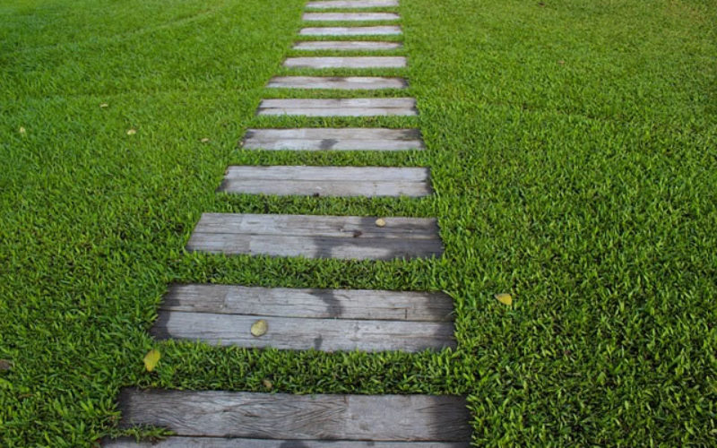 4 Design Ideas to Make Your Backyard More Fun and Inviting