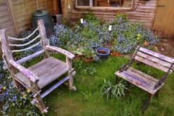 Ideas to Add More Zest to a Boring Yard