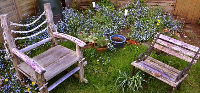 Ideas to Add More Zest to a Boring Yard