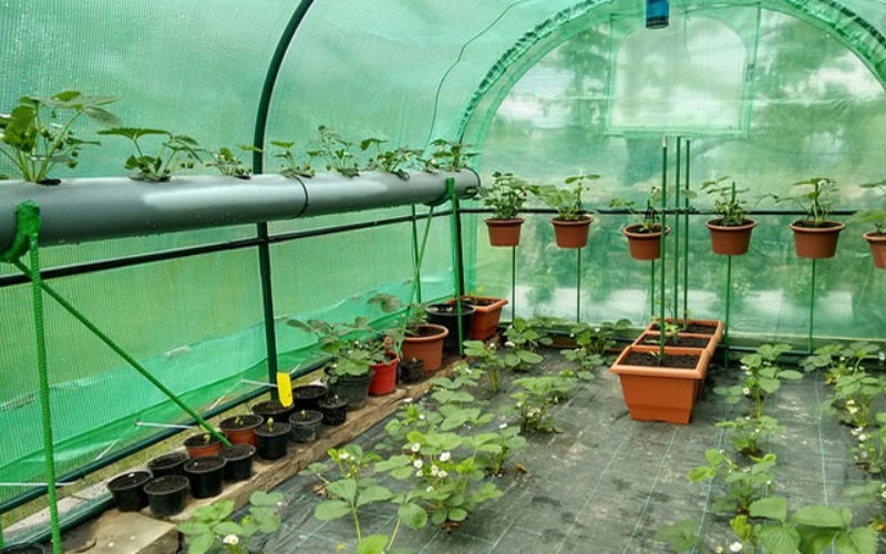 Gardening 101: Landscaping and Vegetable Gardening Don’t Need to Be Mutually Exclusive