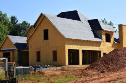 Building a Home? 5 Ways to Keep the Pests Away